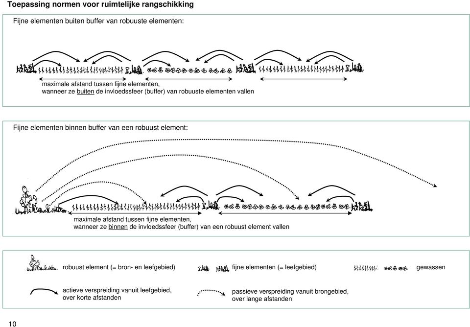 tussen fijne elementen, wanneer ze binnen de invloedssfeer (buffer) van een robuust element vallen robuust element (= bron- en leefgebied) fijne
