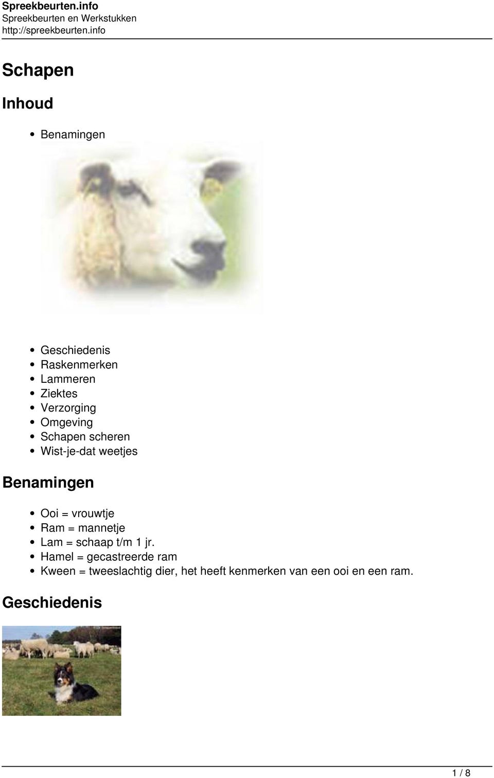 vrouwtje Ram = mannetje Lam = schaap t/m 1 jr.