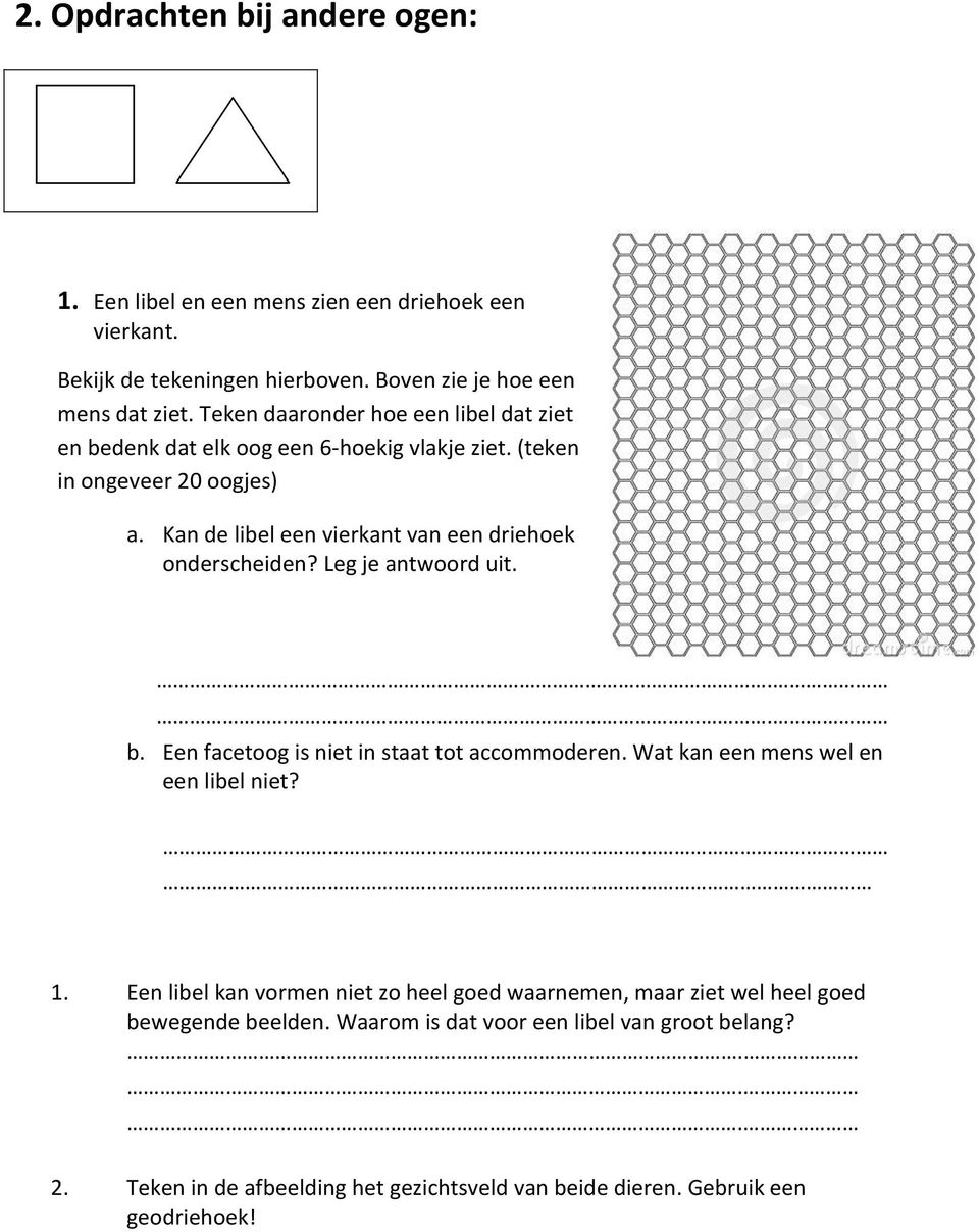 Kan de libel een vierkant van een driehoek onderscheiden? Leg je antwoord uit. b. Een facetoog is niet in staat tot accommoderen. Wat kan een mens wel en een libel niet?