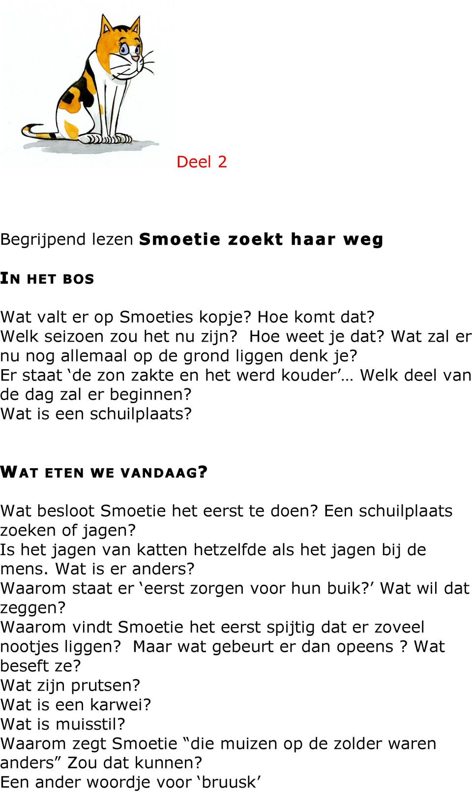 Wat besloot Smoetie het eerst te doen? Een schuilplaats zoeken of jagen? Is het jagen van katten hetzelfde als het jagen bij de mens. Wat is er anders? Waarom staat er eerst zorgen voor hun buik?