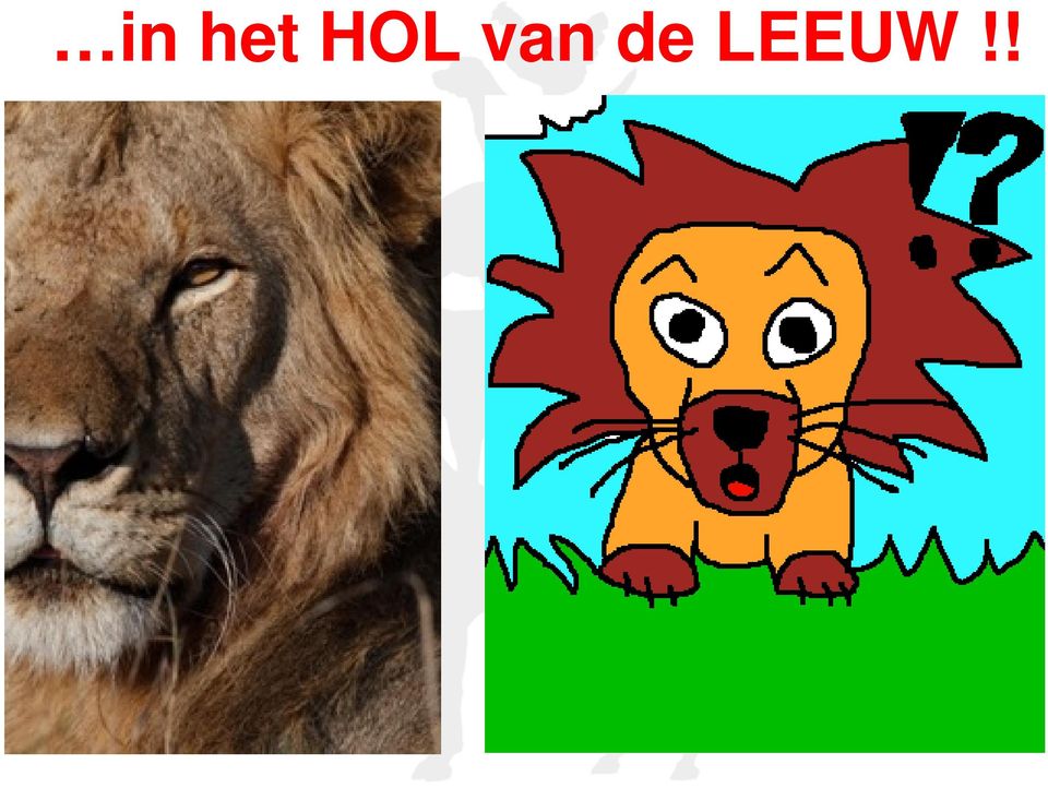 de LEEUW!