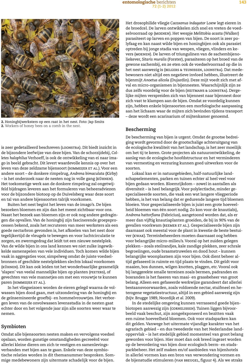 Dit levert waardevolle kennis op over het leven van deze zeldzame bijensoort (sommeijer et al.).