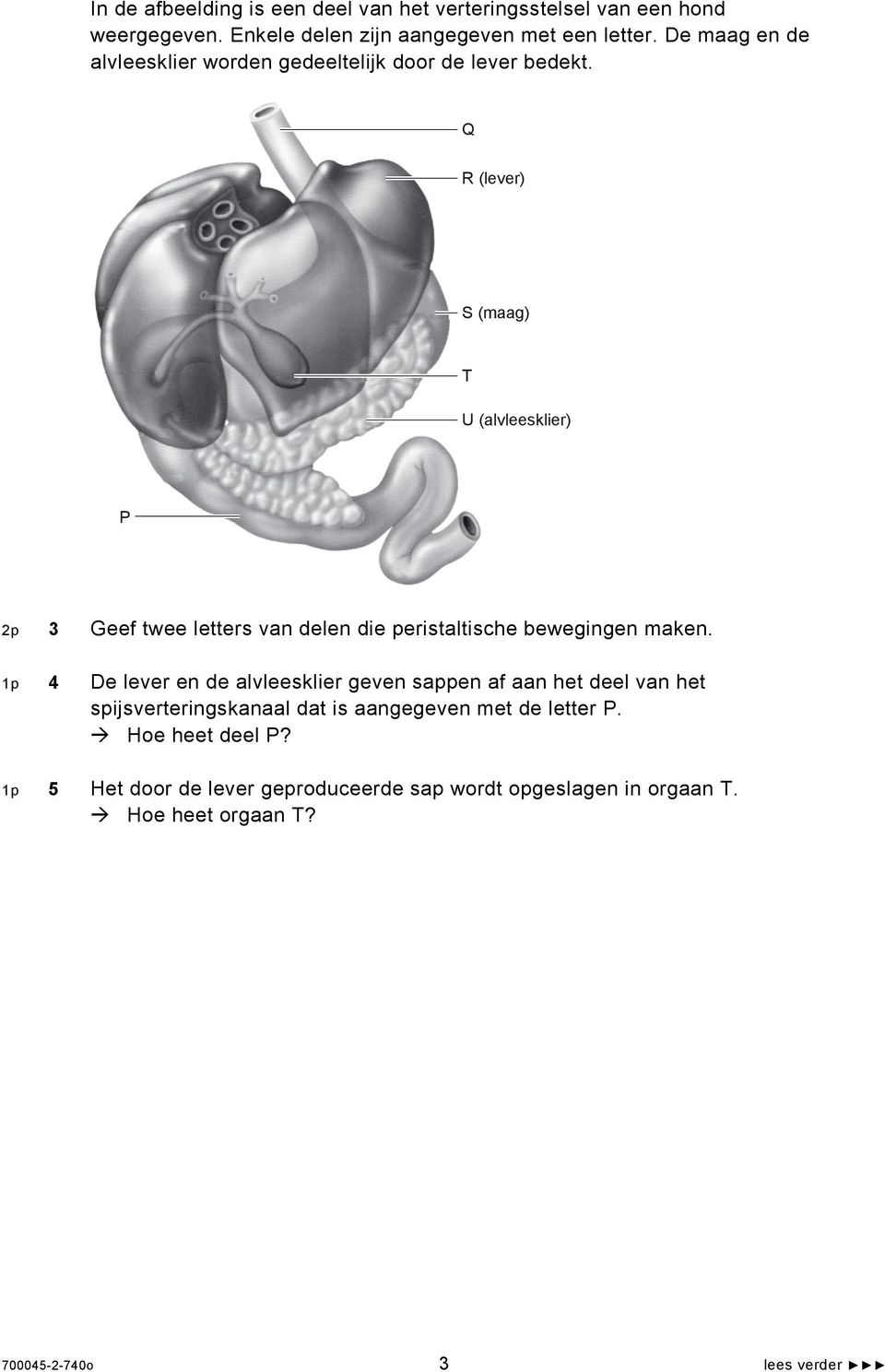 Q R (lever) S (maag) T U (alvleesklier) P 2p 3 Geef twee letters van delen die peristaltische bewegingen maken.