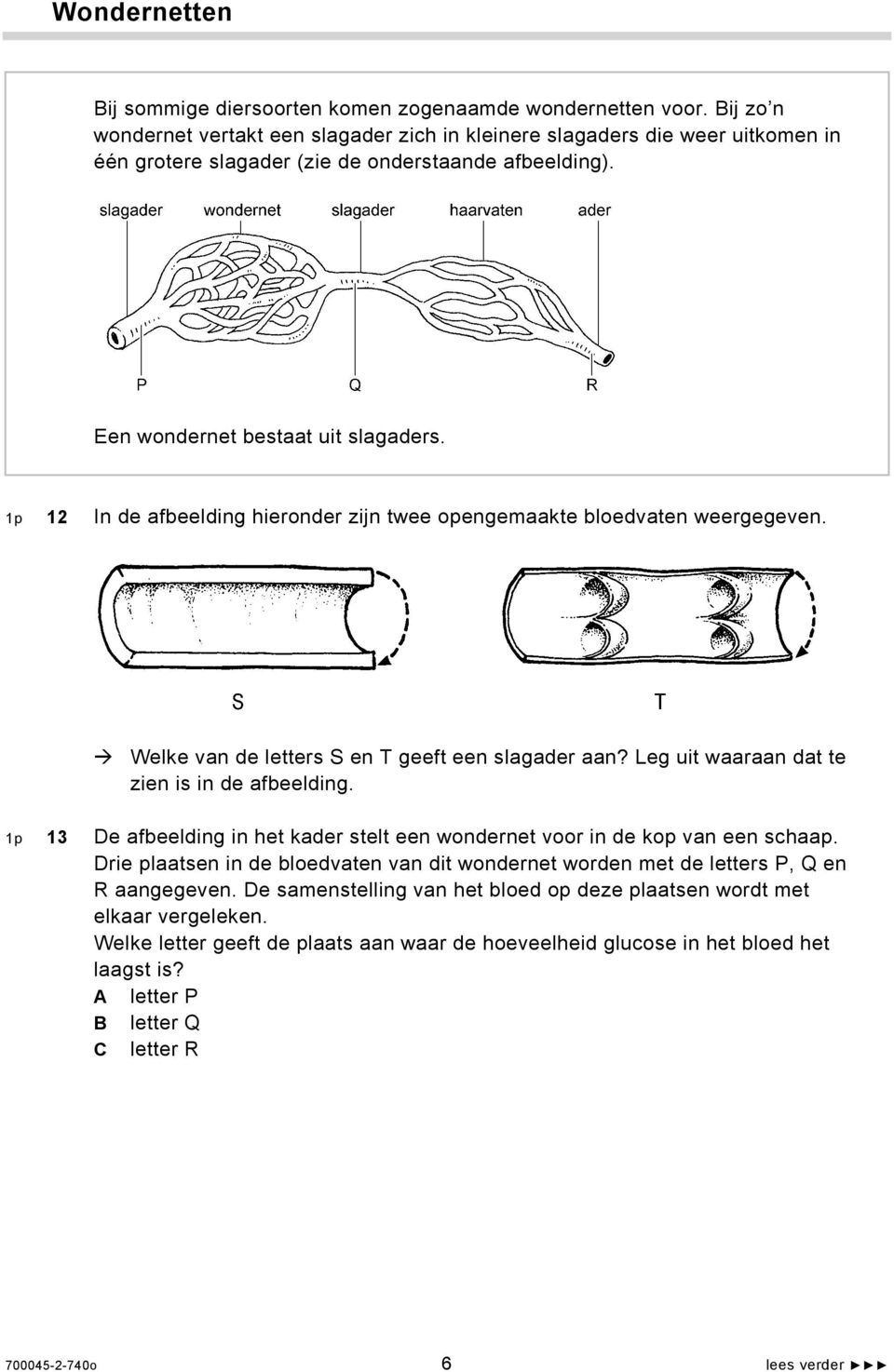 1p 12 In de afbeelding hieronder zijn twee opengemaakte bloedvaten weergegeven. Welke van de letters S en T geeft een slagader aan? Leg uit waaraan dat te zien is in de afbeelding.