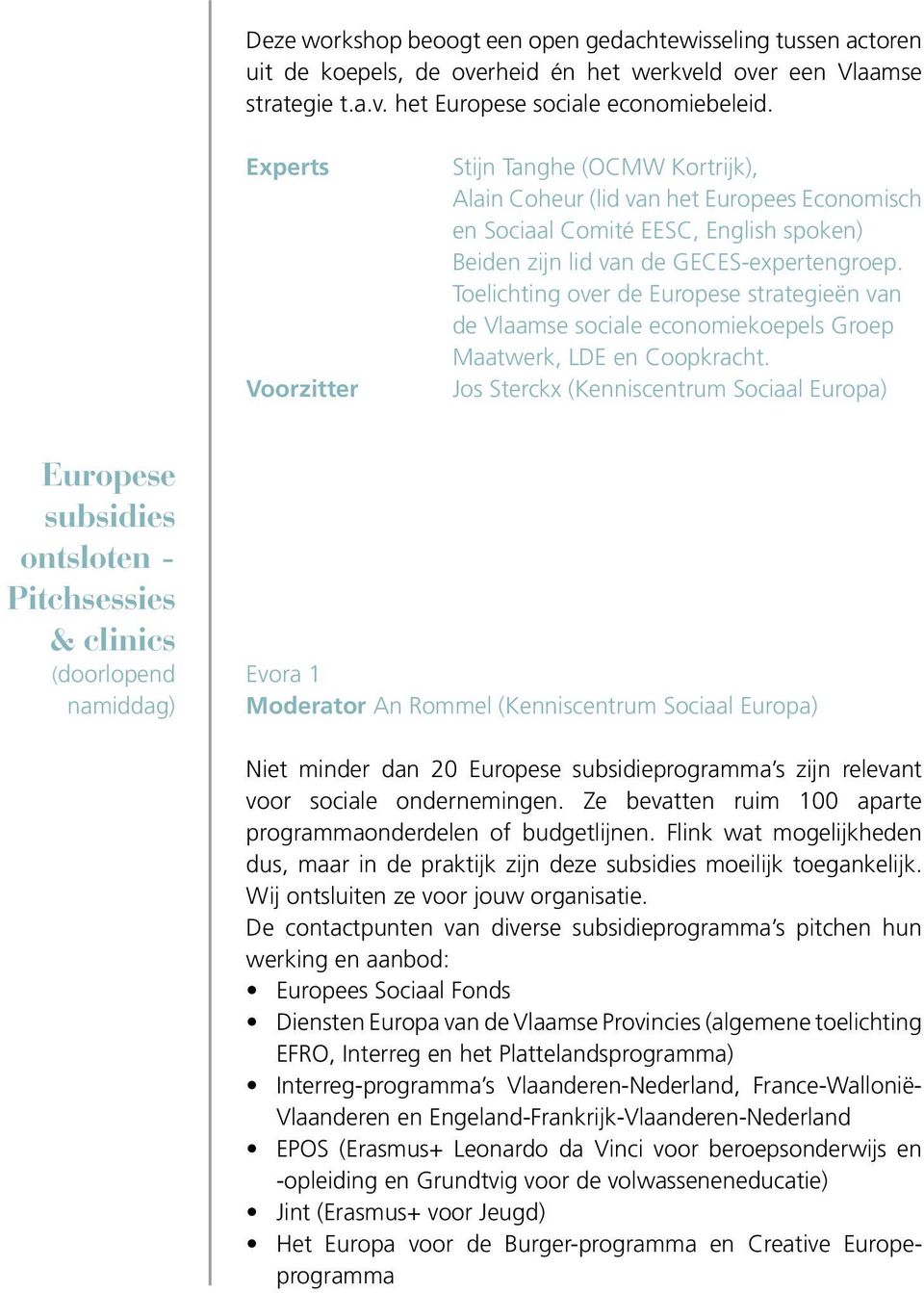 Toelichting over de Europese strategieën van de Vlaamse sociale economiekoepels Groep Maatwerk, LDE en Coopkracht.