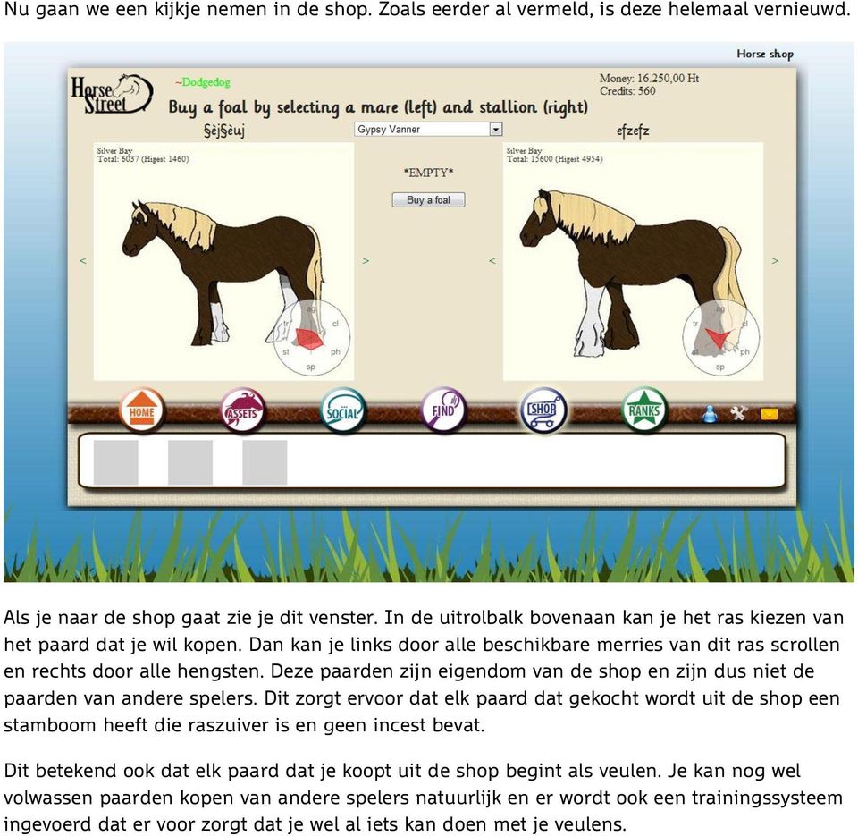 Deze paarden zijn eigendom van de shop en zijn dus niet de paarden van andere spelers.