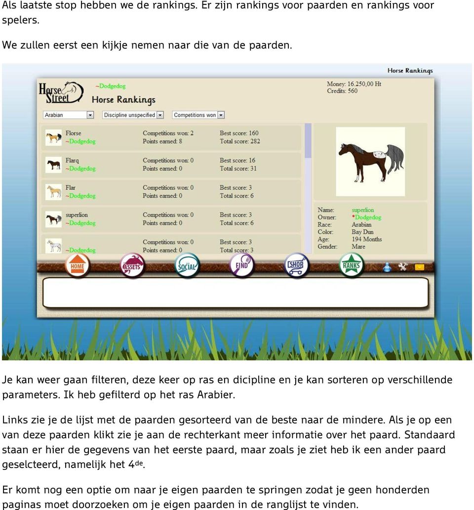 Links zie je de lijst met de paarden gesorteerd van de beste naar de mindere. Als je op een van deze paarden klikt zie je aan de rechterkant meer informatie over het paard.