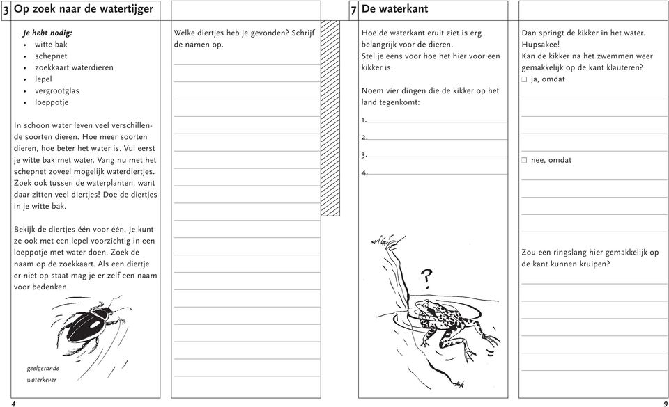 Noem vier dingen die de kikker op het land tegenkomt: Dan springt de kikker in het water. Hupsakee! Kan de kikker na het zwemmen weer gemakkelijk op de kant klauteren?