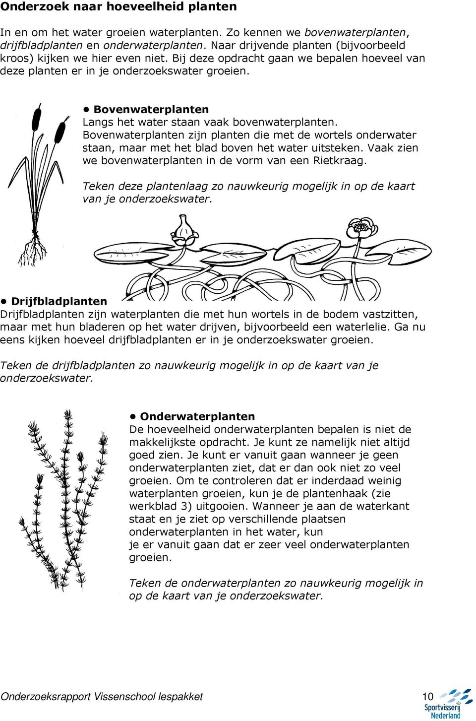 Bovenwaterplanten Langs het water staan vaak bovenwaterplanten. Bovenwaterplanten zijn planten die met de wortels onderwater staan, maar met het blad boven het water uitsteken.