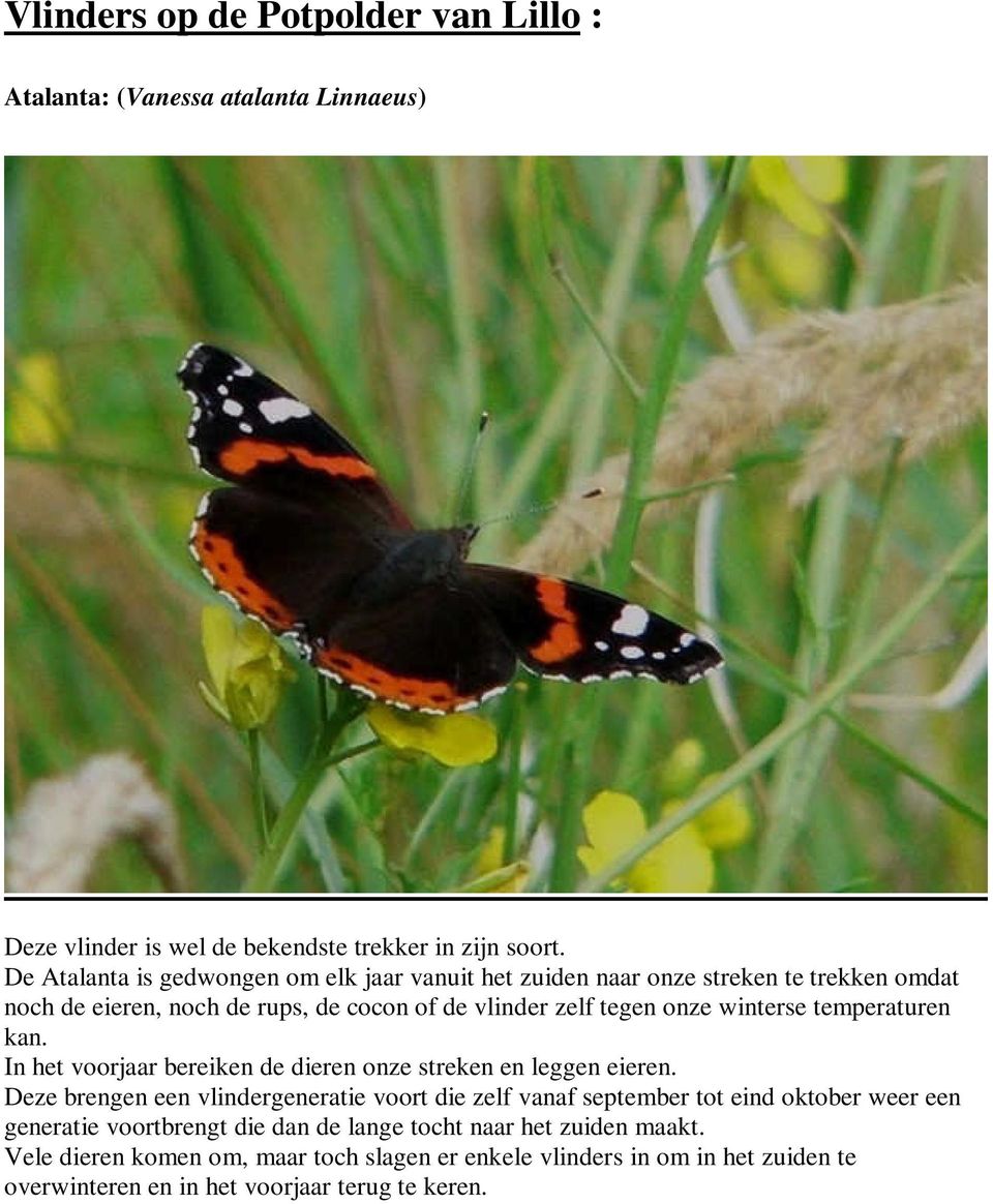 temperaturen kan. In het voorjaar bereiken de dieren onze streken en leggen eieren.