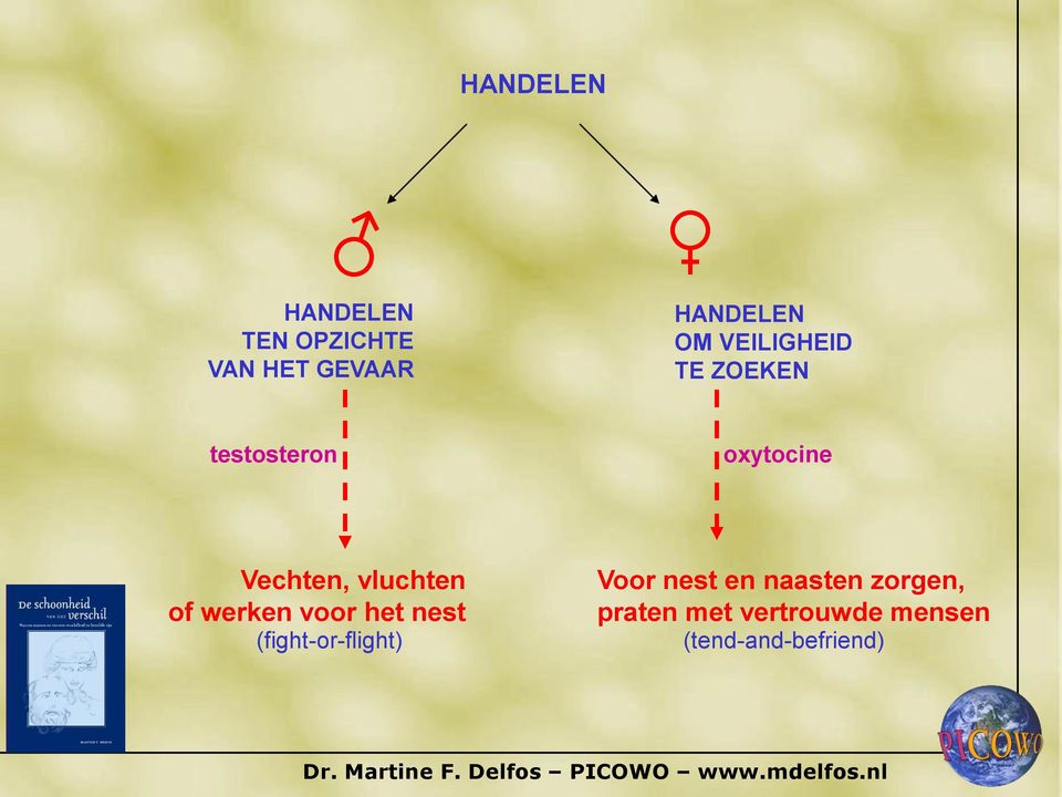 Vchtn, vluchtn of wrkn voor ht nst (fight-or-flight)