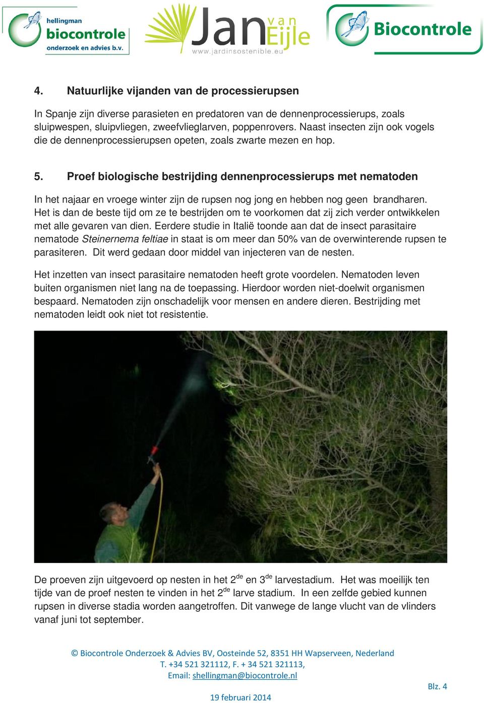 Proef biologische bestrijding dennenprocessierups met nematoden In het najaar en vroege winter zijn de rupsen nog jong en hebben nog geen brandharen.