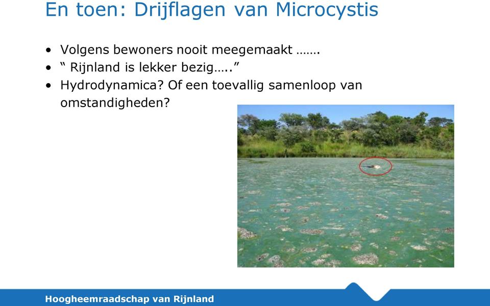 Rijnland is lekker bezig.. Hydrodynamica?