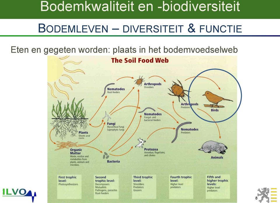 Eten en gegeten