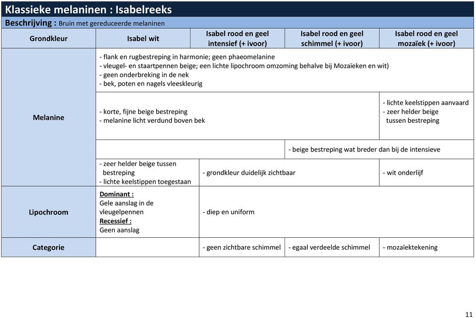 (+ ivoor) - korte, fijne beige - melanine licht verdund boven bek - lichte keelstippen aanvaard - zeer helder beige tussen - beige wat breder dan bij de intensieve - zeer helder beige tussen - lichte