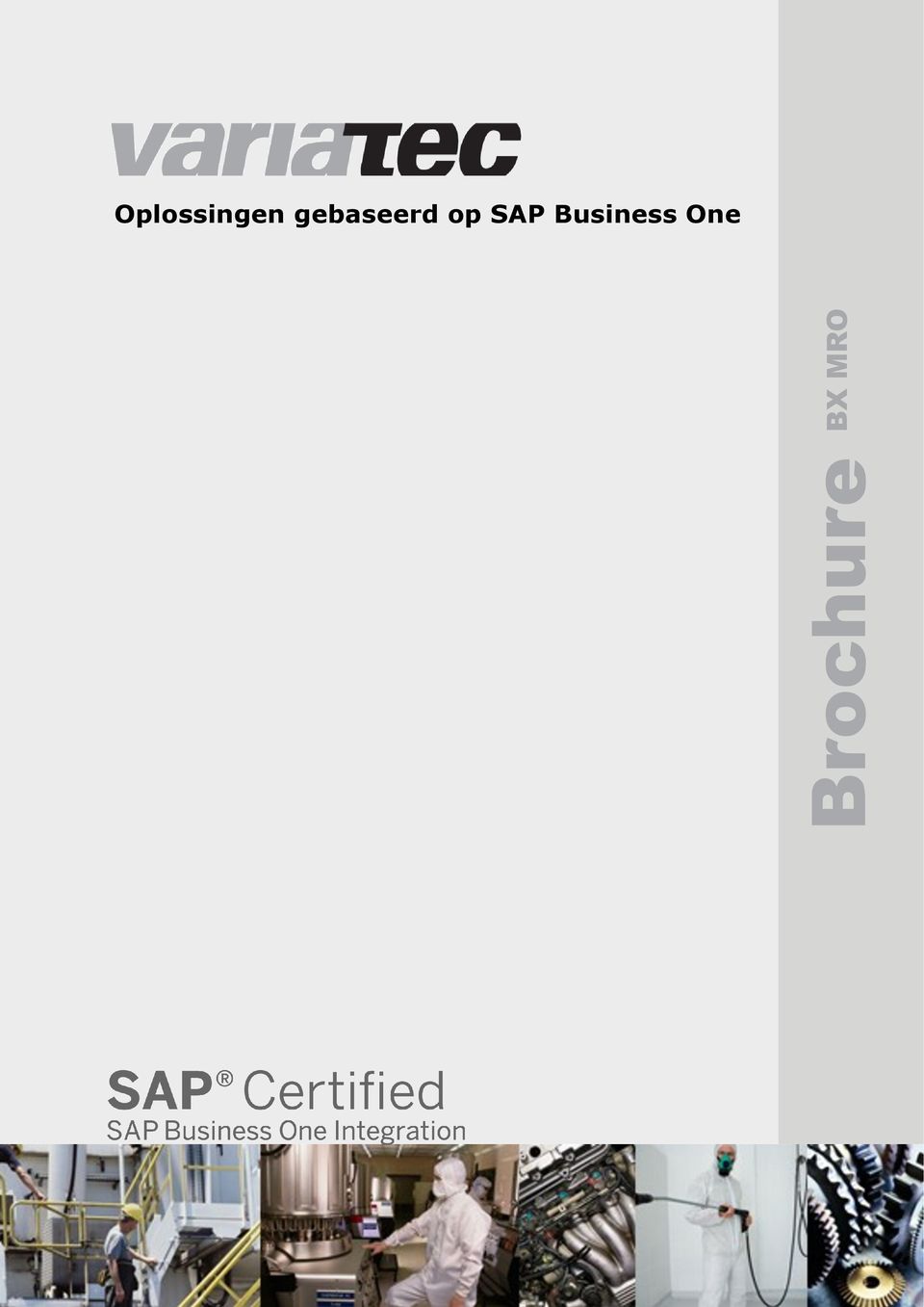 SAP Business