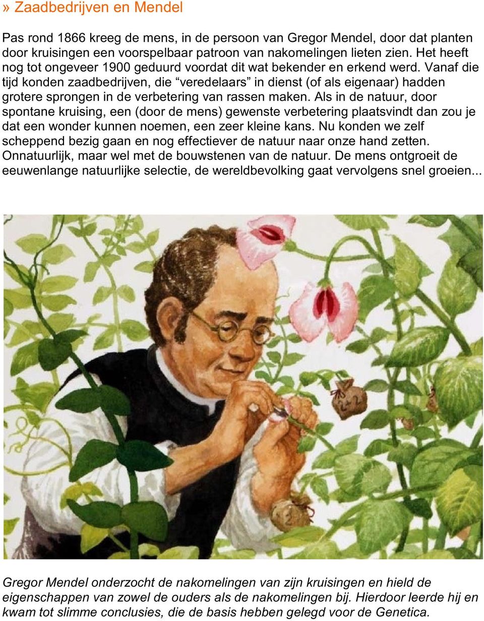 Vanaf die tijd konden zaadbedrijven, die veredelaars in dienst (of als eigenaar) hadden grotere sprongen in de verbetering van rassen maken.