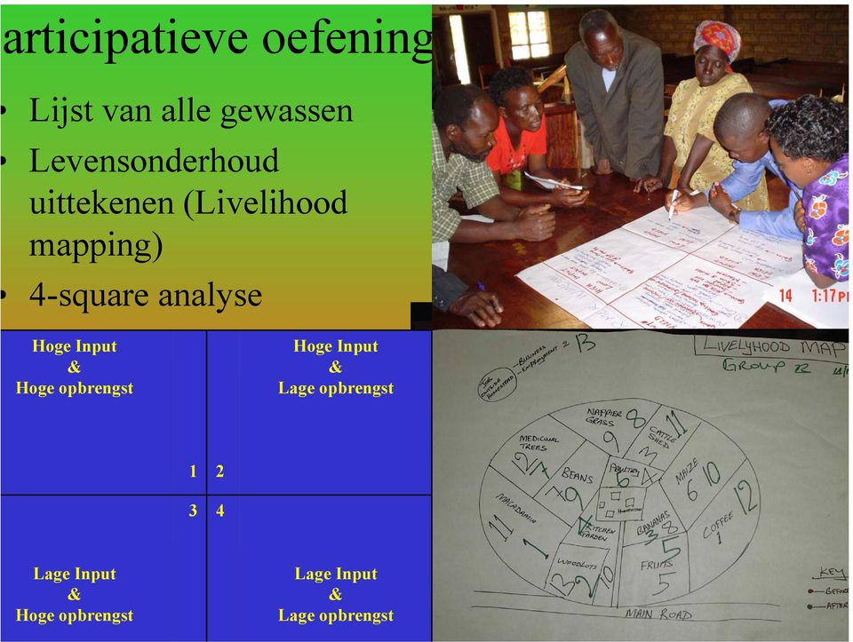 analyse Hoge Input & Hoge opbrengst Hoge Input & Lage