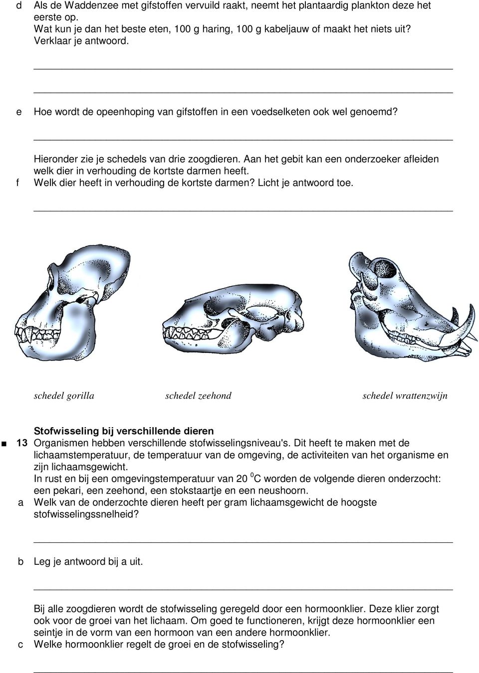 An het geit kn een onderzoeker fleiden welk dier in verhouding de kortste drmen heeft. Welk dier heeft in verhouding de kortste drmen? Liht je ntwoord toe.