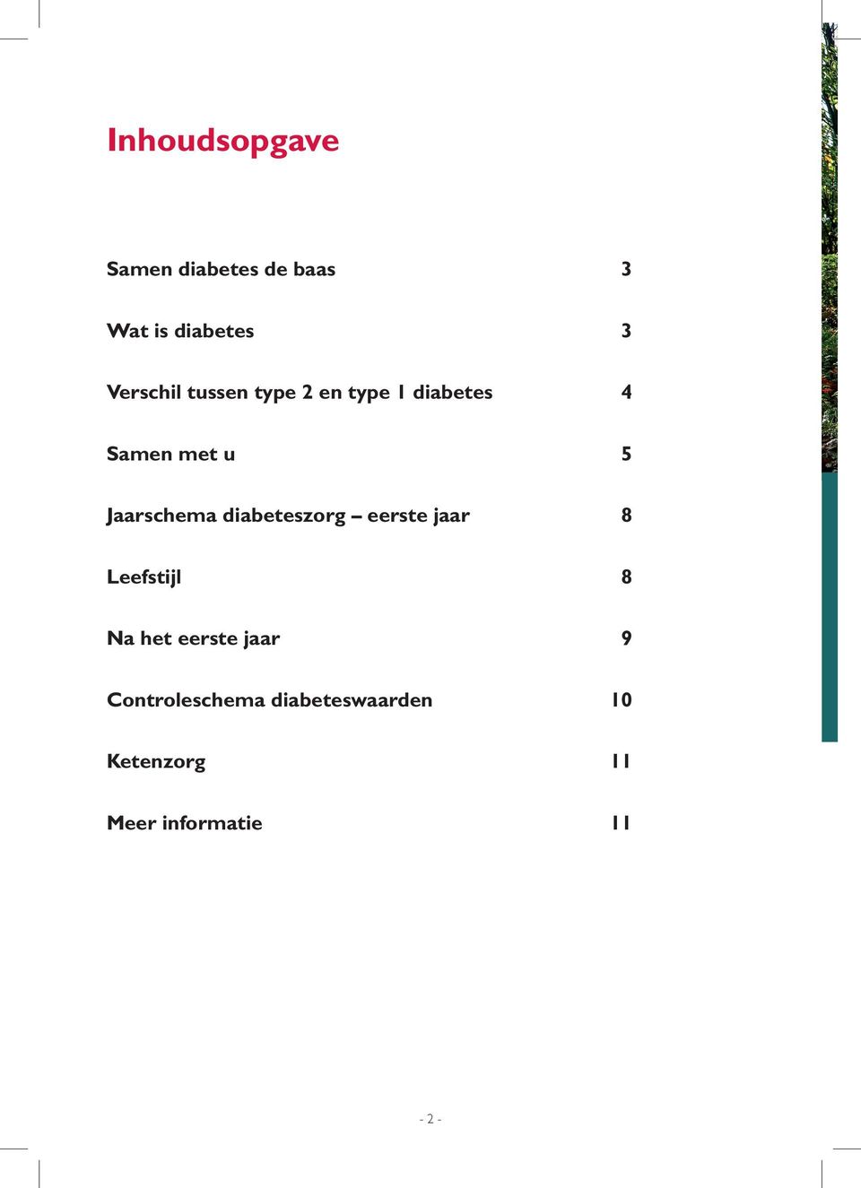 Jaarschema diabeteszorg eerste jaar 8 Leefstijl 8 Na het eerste