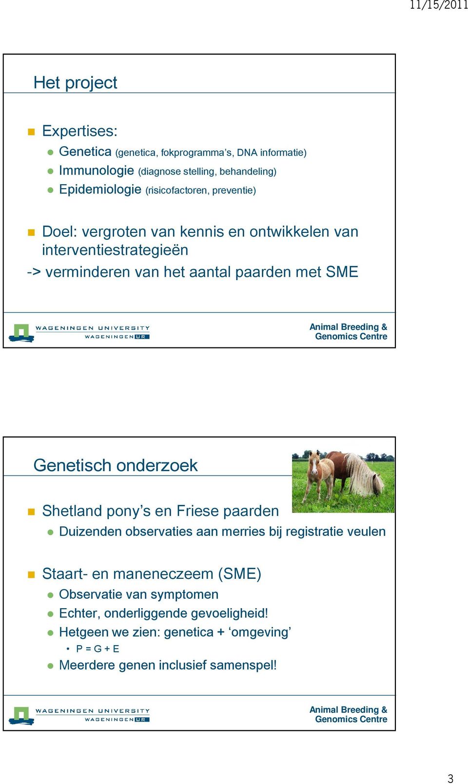 SME Genetisch onderzoek Shetland pony s en Friese paarden Duizenden observaties aan merries bij registratie veulen Staart- en maneneczeem