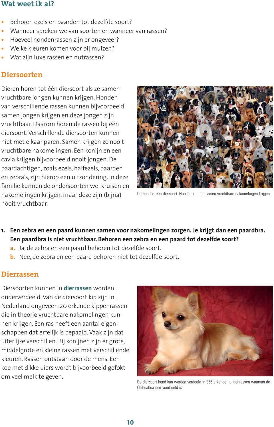 Honden van verschillende rassen kunnen bijvoorbeeld samen jongen krijgen en deze jongen zijn vruchtbaar. Daarom horen de rassen bij één diersoort.