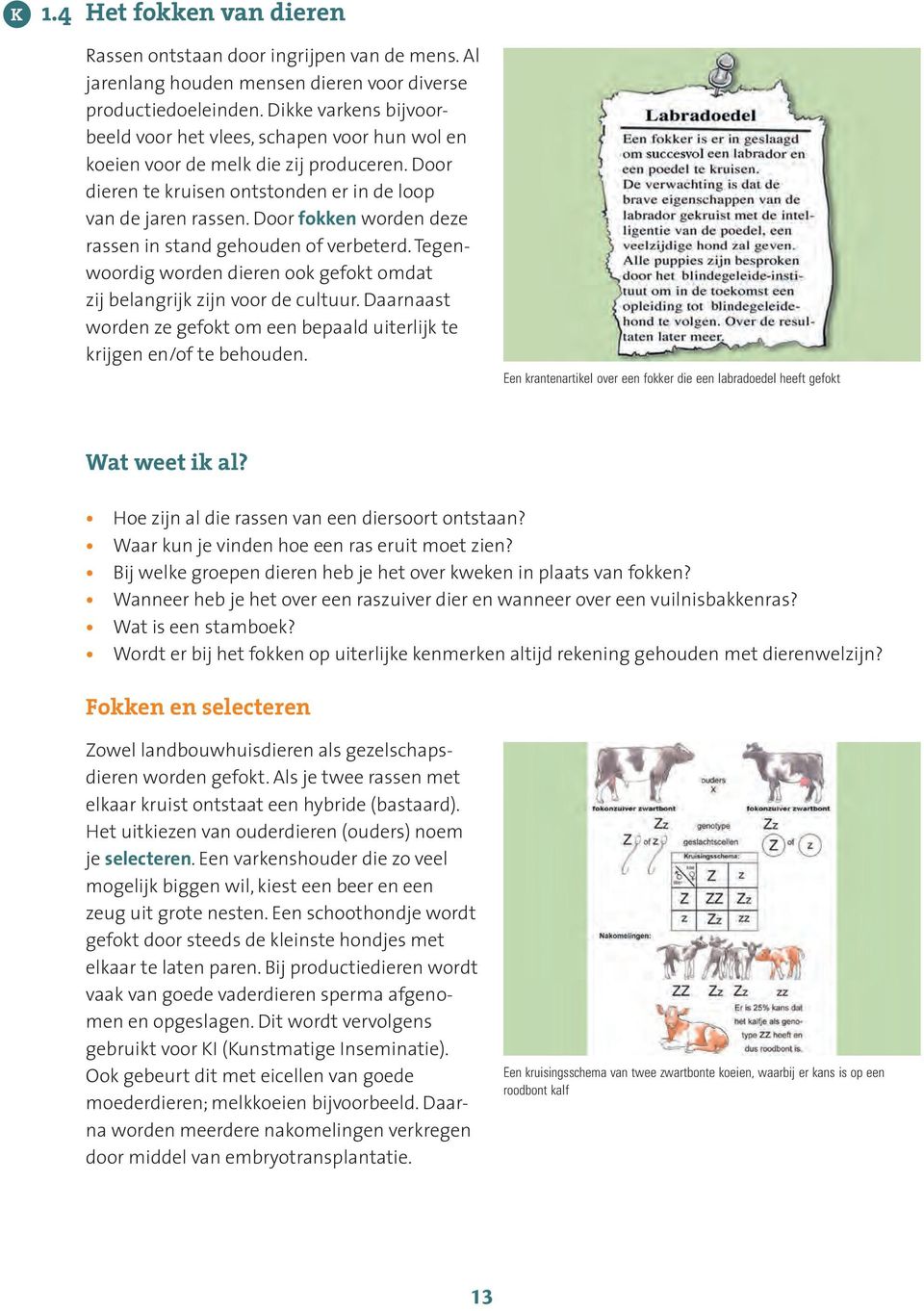 Door fokken worden deze rassen in stand gehouden of verbeterd. Tegenwoordig worden dieren ook gefokt omdat zij belangrijk zijn voor de cultuur.