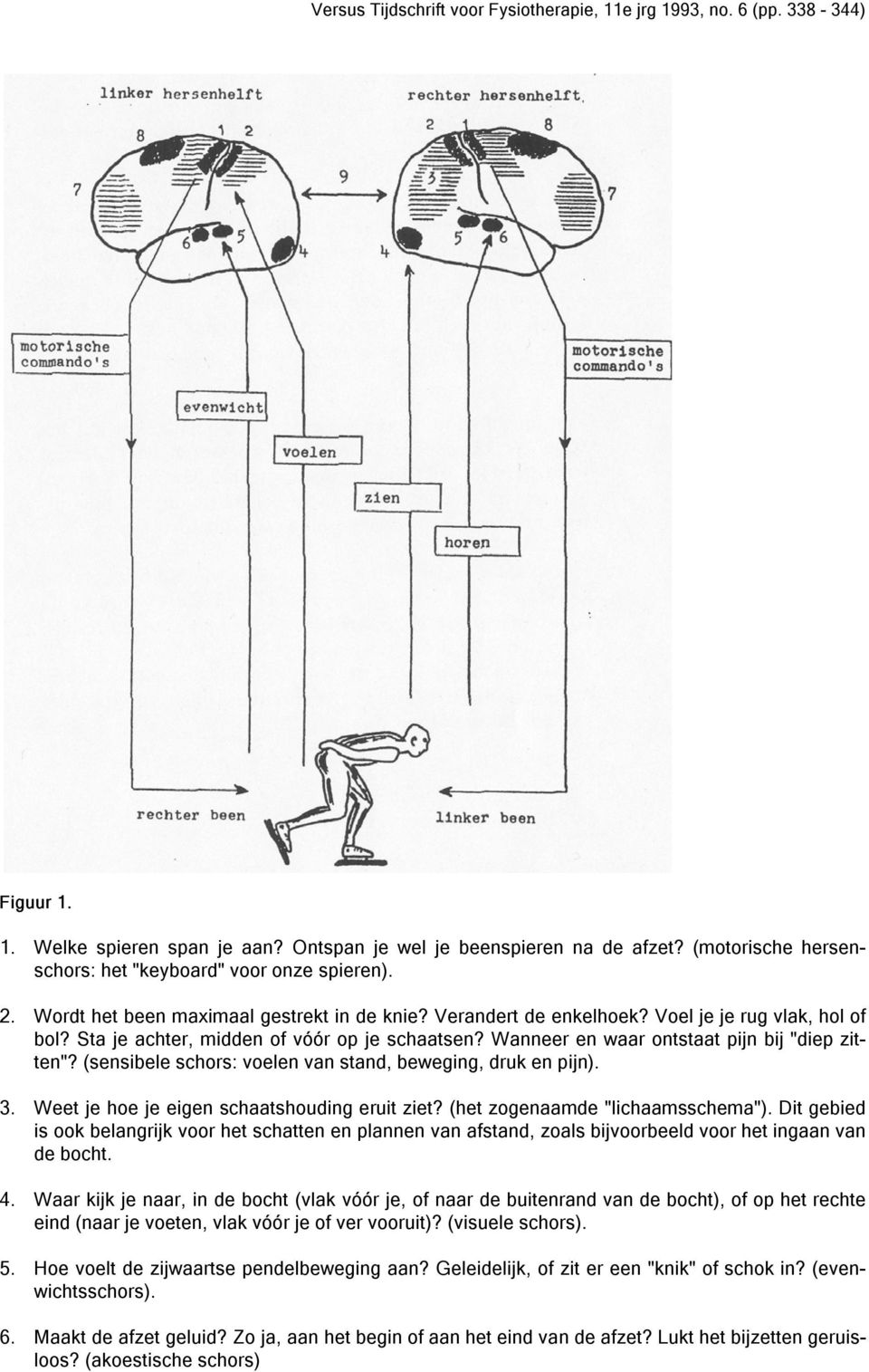 (sensibele schors: voelen van stand, beweging, druk en pijn). 3. Weet je hoe je eigen schaatshouding eruit ziet? (het zogenaamde "lichaamsschema").