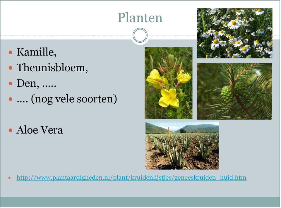 http://www.plantaardigheden.