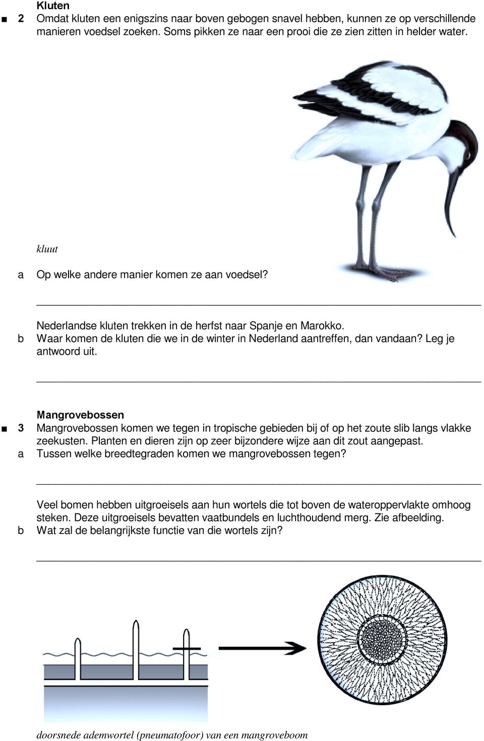 3 Mngroveossen Mngroveossen komen we tegen in tropishe geieden ij of op het zoute sli lngs vlkke zeekusten. Plnten en dieren zijn op zeer ijzondere wijze n dit zout ngepst.