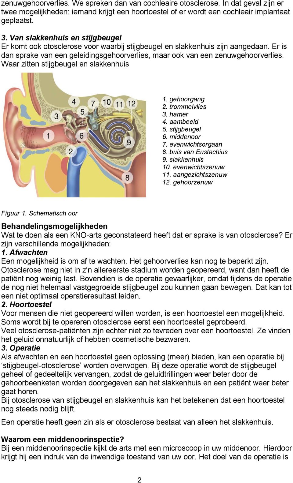 Waar zitten stijgbeugel en slakkenhuis 1. gehoorgang 2. trommelvlies 3. hamer 4. aambeeld 5. stijgbeugel 6. middenoor 7. evenwichtsorgaan 8. buis van Eustachius 9. slakkenhuis 10. evenwichtszenuw 11.