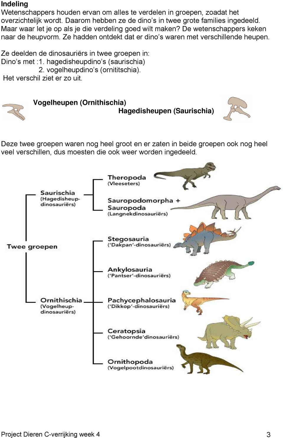 Ze deelden de dinosauriërs in twee groepen in: Dino s met :1. hagedisheupdino s (saurischia) 2. vogelheupdino s (ornititschia). Het verschil ziet er zo uit.