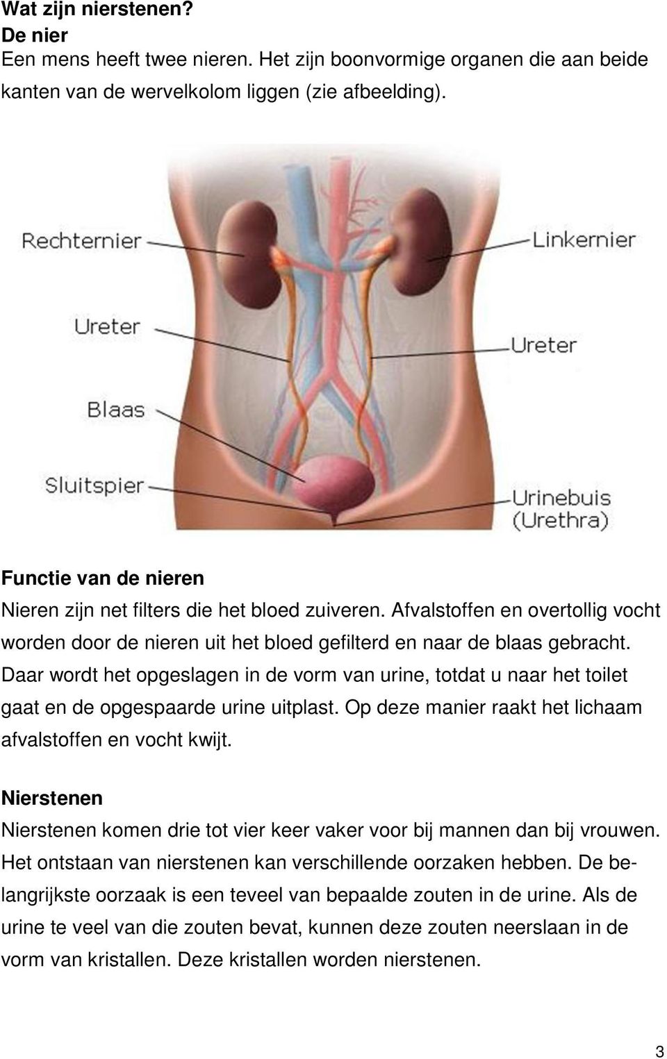 Daar wordt het opgeslagen in de vorm van urine, totdat u naar het toilet gaat en de opgespaarde urine uitplast. Op deze manier raakt het lichaam afvalstoffen en vocht kwijt.