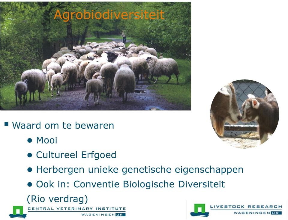 genetische eigenschappen Ook in: