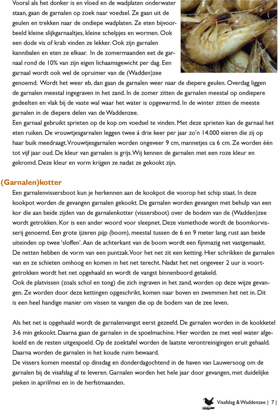 In de zomermaanden eet de garnaal rond de 10% van zijn eigen lichaamsgewicht per dag. Een garnaal wordt ook wel de opruimer van de (Wadden)zee genoemd.