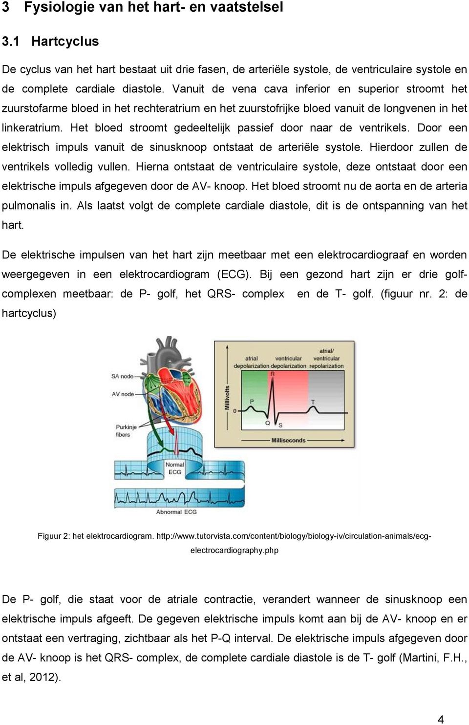 Het bloed stroomt gedeeltelijk passief door naar de ventrikels. Door een elektrisch impuls vanuit de sinusknoop ontstaat de arteriële systole. Hierdoor zullen de ventrikels volledig vullen.