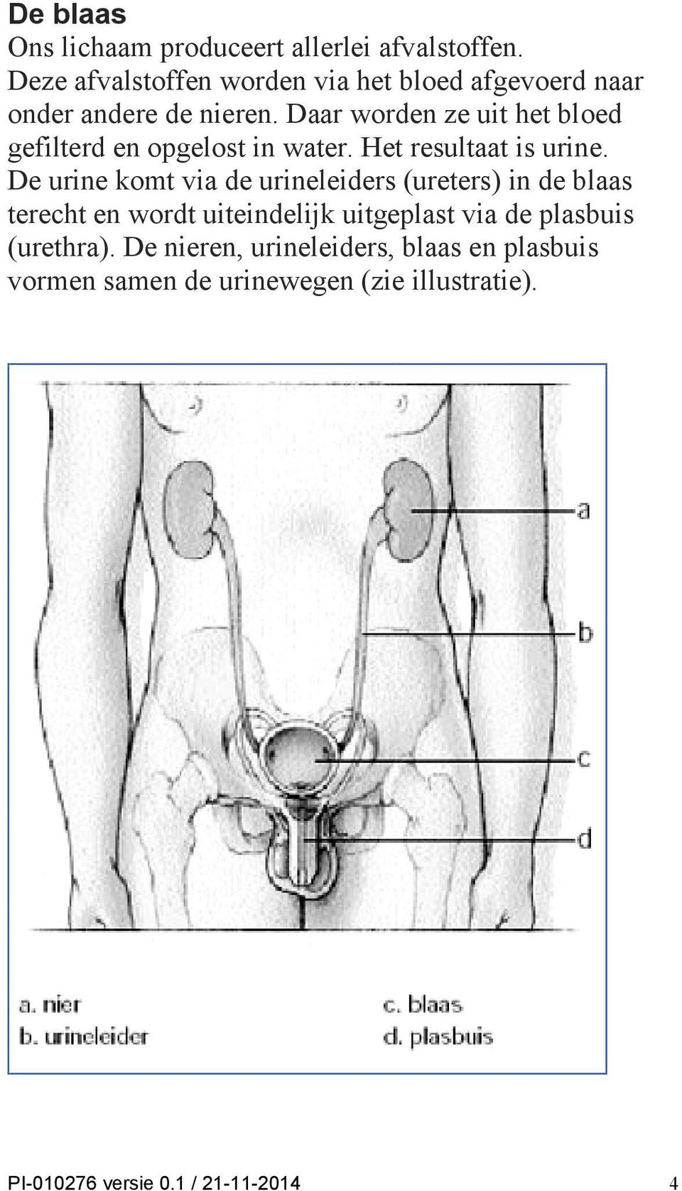 Daar worden ze uit het bloed gefilterd en opgelost in water. Het resultaat is urine.