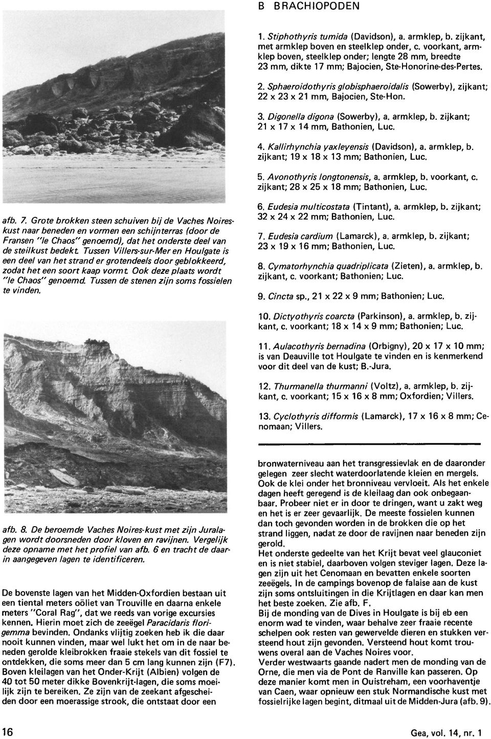 3. Digonella digona (Sowerby), a. armklep, b. zijkant; 21 x 17 x 14 mm, Bathonien, Luc. 4. Kallirhynchia yaxleyensis (Davidson), a. armklep, b. zijkant; 19 x 18 x 13 mm; Bathonien, Luc. 5.