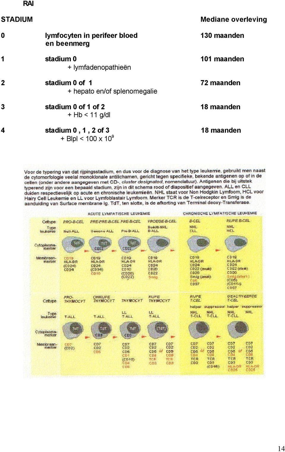 stadium 0 of 1 72 maanden + hepato en/of splenomegalie 3 stadium 0 of 1
