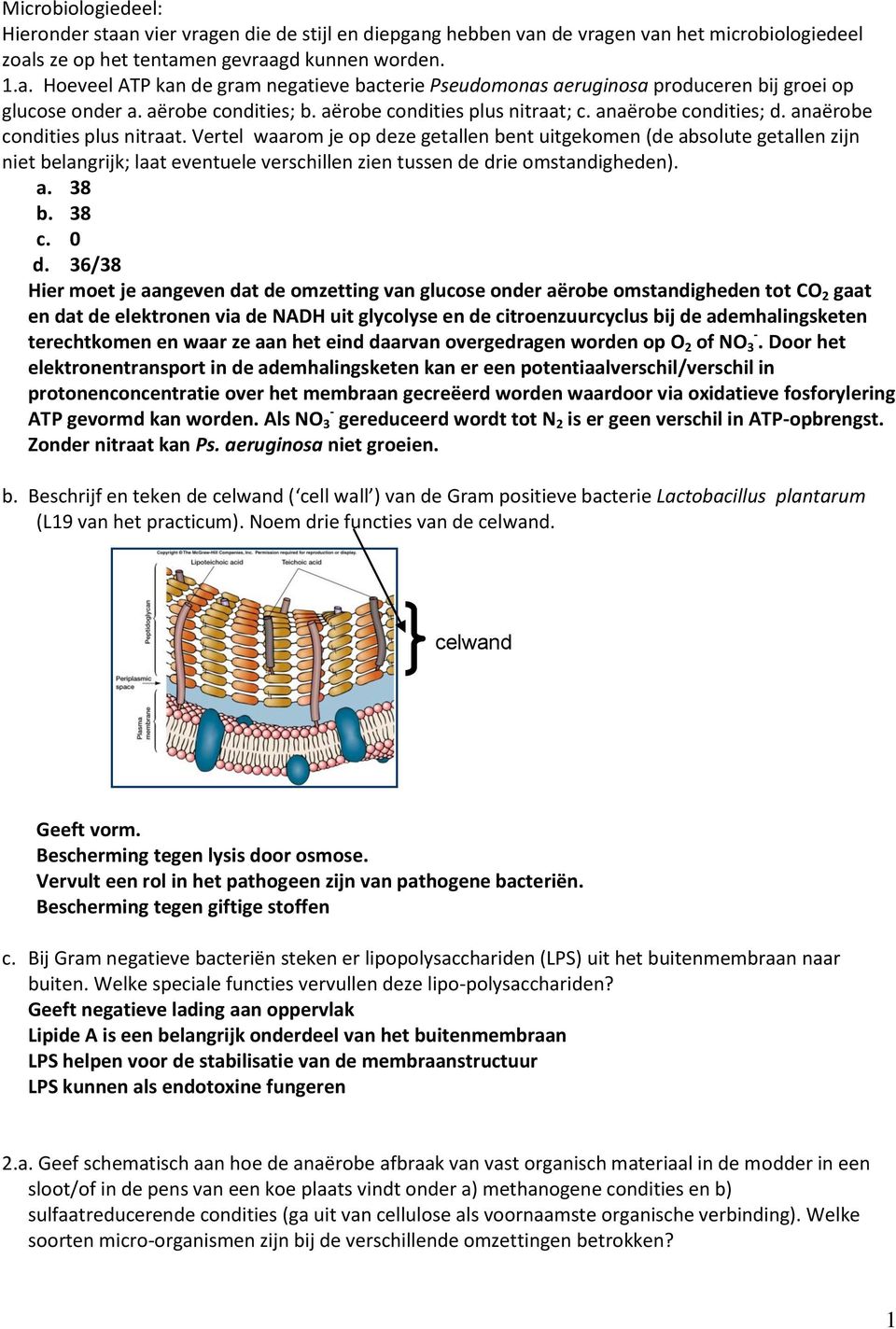 Vertel waarom je op deze getallen bent uitgekomen (de absolute getallen zijn niet belangrijk; laat eventuele verschillen zien tussen de drie omstandigheden). a. 38 b. 38 c. 0 d.