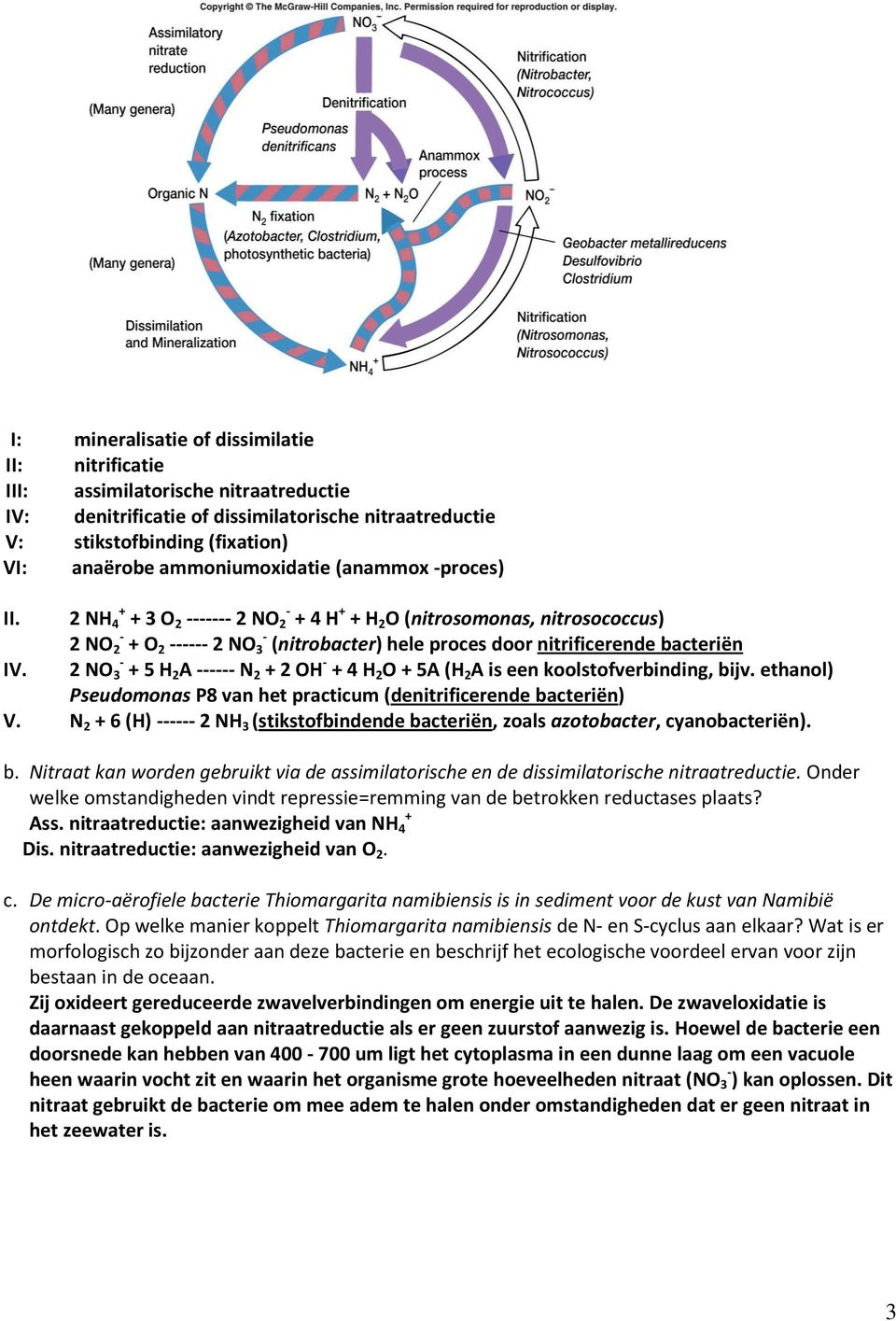 2 NH + 4 + 3 O 2 ------- 2 NO - 2 + 4 H + + H 2 O (nitrosomonas, nitrosococcus) 2 NO - 2 + O 2 ------ 2 NO - 3 (nitrobacter) hele proces door nitrificerende bacteriën IV.