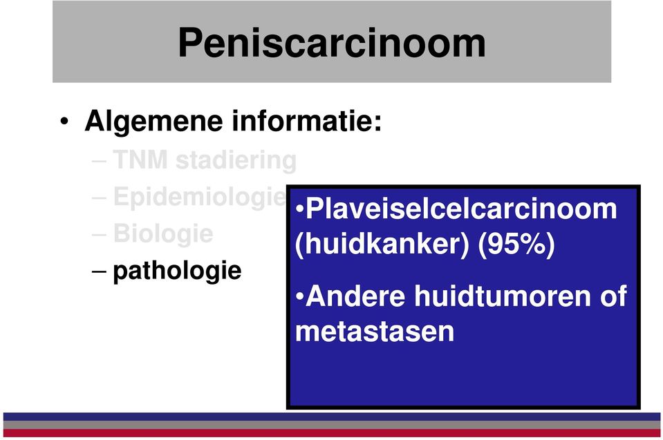 pathologie Plaveiselcelcarcinoom