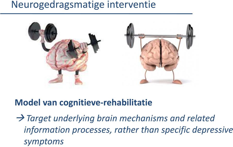 brain mechanisms and related information