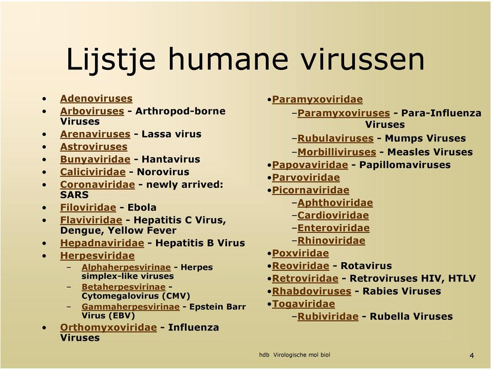 Cytomegalovirus (CMV) Gammaherpesvirinae - Epstein Barr Virus (EBV) Orthomyxoviridae - Influenza Viruses Paramyxoviridae Paramyxoviruses - Para-Influenza Viruses Rubulaviruses - Mumps Viruses