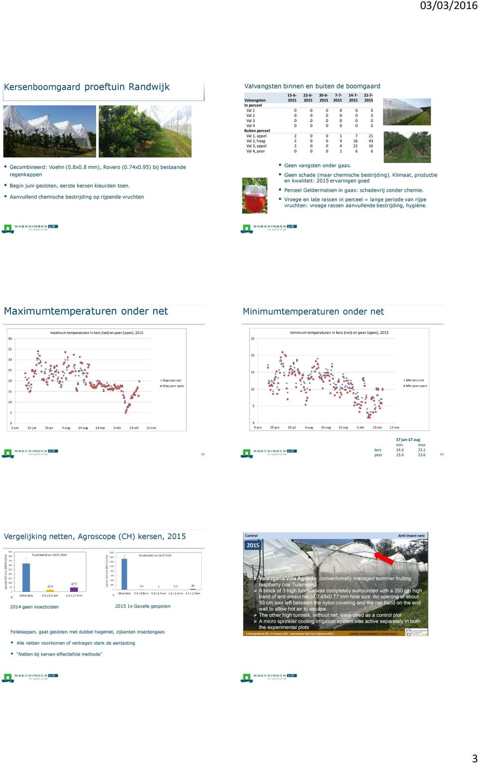 Aanvullend chemische bestrijding op rijpende vruchten Geen vangsten onder gaas. Geen schade (maar chemische bestrijding).