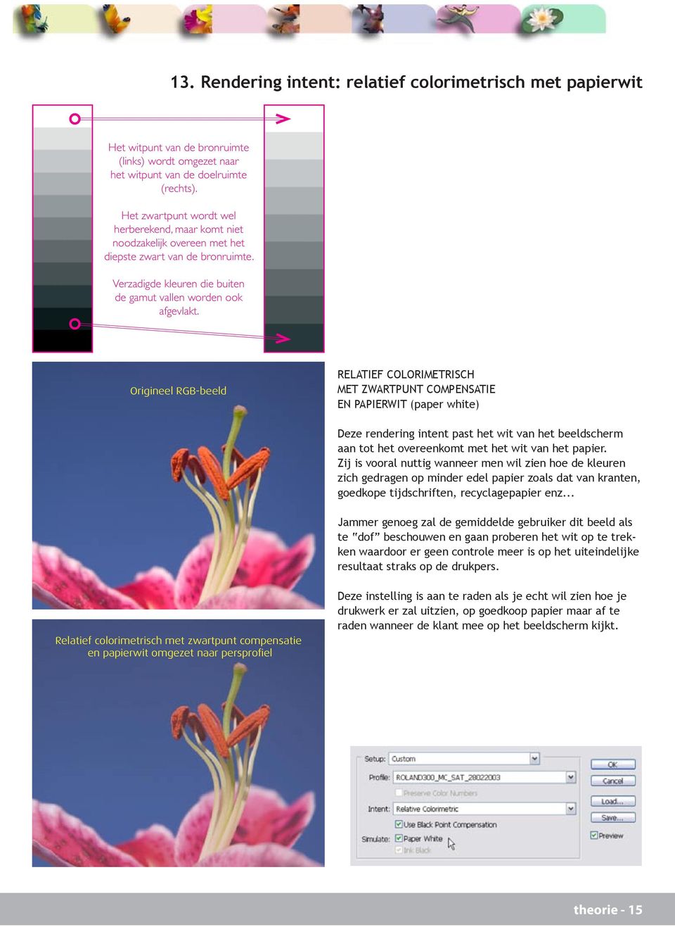 Origineel RGB-beeld RELATIEF COLORIMETRISCH MET ZWARTPUNT COMPENSATIE EN PAPIERWIT (paper white) Deze rendering intent past het wit van het beeldscherm aan tot het overeenkomt met het wit van het