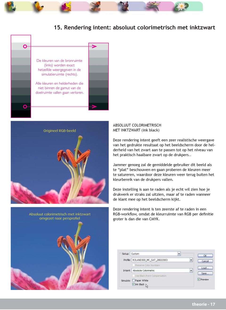 Origineel RGB-beeld ABSOLUUT COLORIMETRISCH MET INKTZWART (ink black) Deze rendering intent geeft een zeer realistische weergave van het gedrukte resultaat op het beeldscherm door de helderheid van