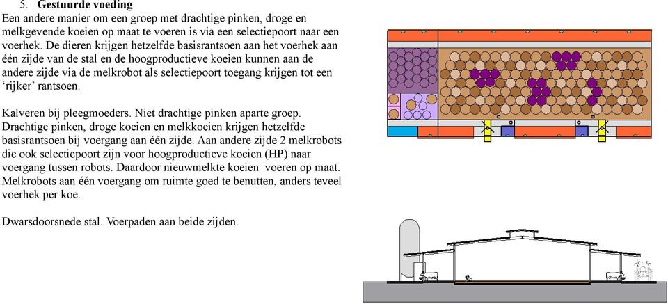 rijker rantsoen. Kalveren bij pleegmoeders. Niet drachtige pinken aparte groep. Drachtige pinken, droge koeien en melkkoeien krijgen hetzelfde basisrantsoen bij voergang aan één zijde.