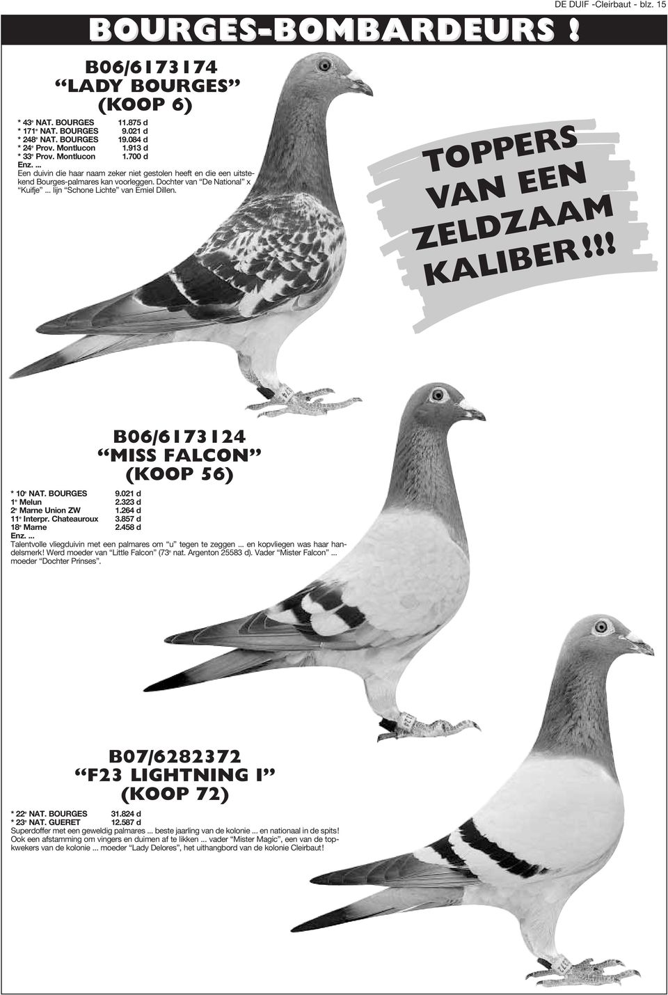 .. lijn Schone Lichte van Emiel Dillen. TOPPERS VAN EEN DE DUIF -Cleirbaut - blz. 15 ZELDZAAM KALIBER!!! B06/6173124 MISS FALCON (KOOP 56) * 10 e NAT. BOURGES 9.021 d 1 e Melun 2.