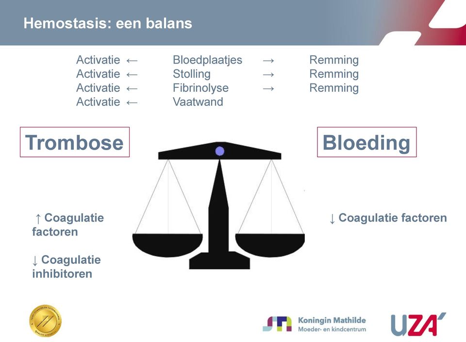 Fibrinolyse Remming Activatie Vaatwand Trombose